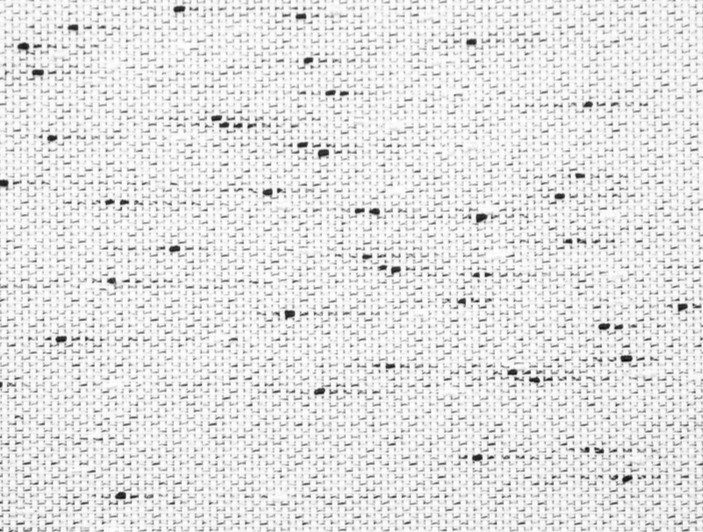 Aura Blanca